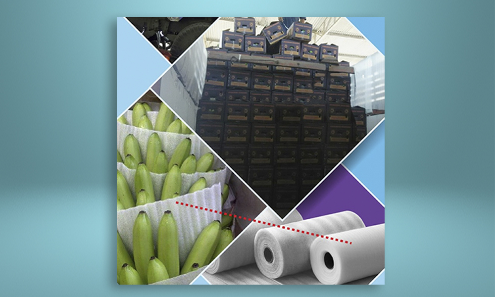 EPE Foam For Banana Packing